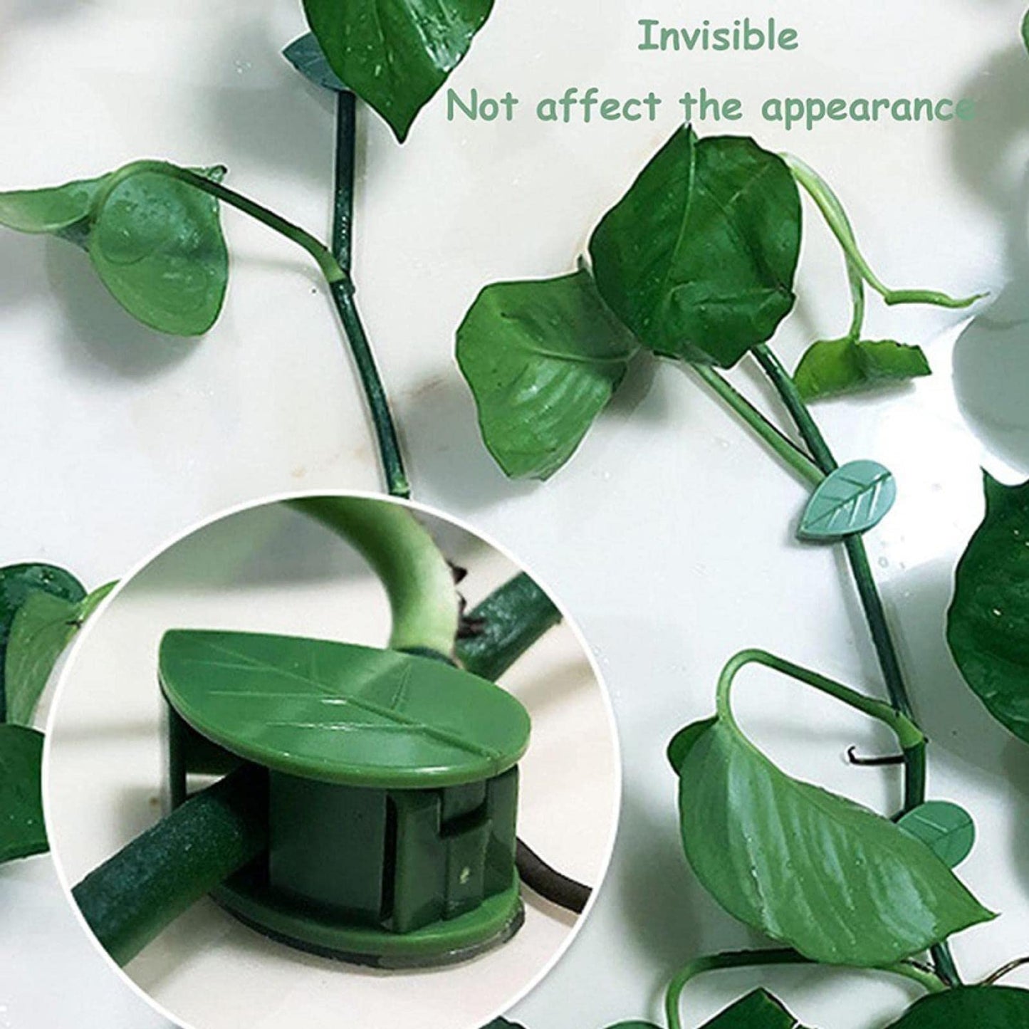 LeMall Plant Climbing Wall Fixture Clips, 100PCS Self-Adhesive Plant Hooks for Wall Vines Fixing Clips Green Leaf Plant Clip Garden Wall Clip Plant Clip Green Leaf Simulation for Garden Wall Clip