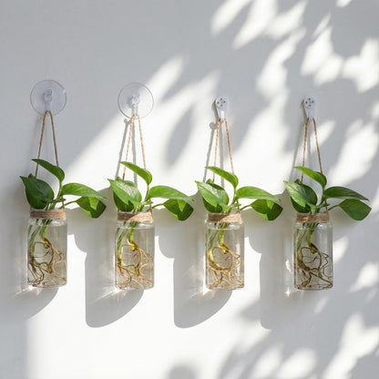 Baderke 9 Sets Window Hanging Propagation Stations 3.54'' Plastic Propagation Vases with Suction Cup & Traceless Nail, Propagated Plant Holder Wall Jars for Office Home Garden Decoration Lover Gift