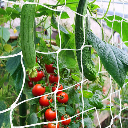Trellis Netting, CANAGROW Heavy-Duty Garden Plant Trellis Netting for Climbing Plants, Outdoor Indoor Grow Net for Beans Tomatoes Peas Pumpkin Flowers, 6x30ft, 1 Pack
