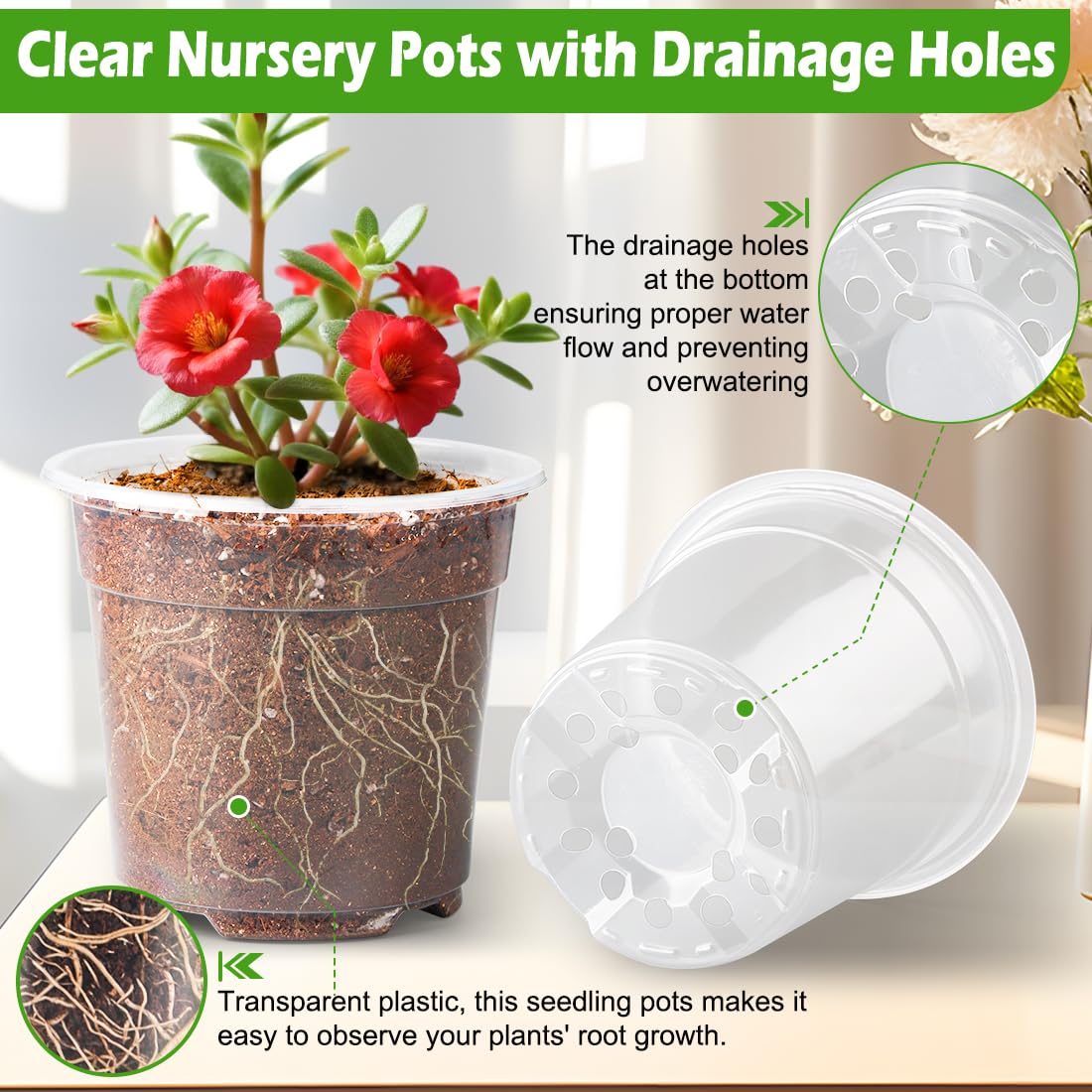 RooTrimmer 6 Inch Clear Nursery Pots with Humidity Dome, 30 Pack Reusable Seed Starter Pot with Drainage Holes, Transparent Plastic Plant Seedling Pots for Propagation Indoor Plants Outdoor Gardening
