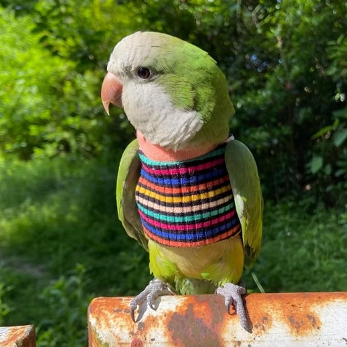 Bird Clothes - Handmade Cotton Stripe Shirt Round Collar Sweater Flight Suit for Parrots African Greys Parakeet Cockatiel Sun Conure Christmas Halloween (Without Diaper,2XL)