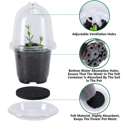 EBaokuup 20 Pack Self Watering Seed Starter Pot, 3 Inch Automatic Watering Plant Nursery Pots with Humidity Dome, Self Watering Nursery Pots for Potted Plants Seed Germination