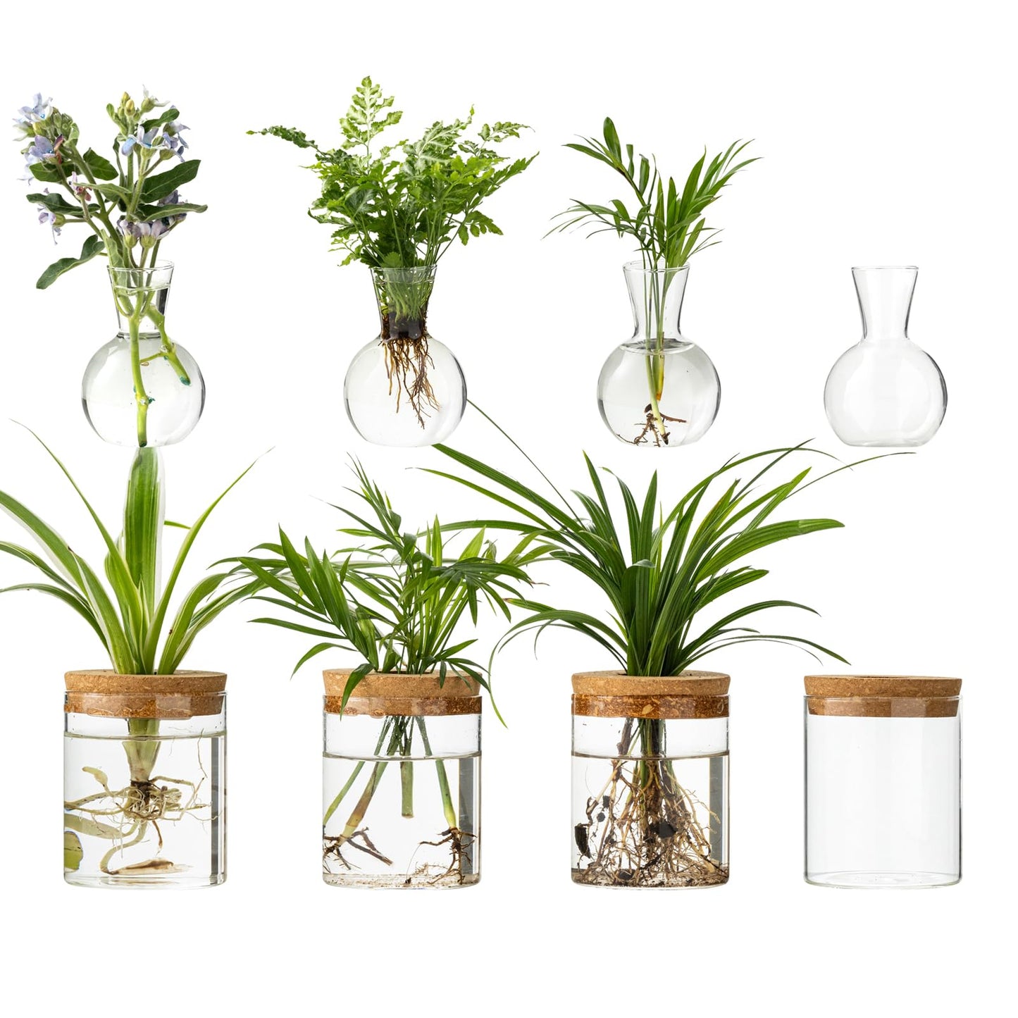 Plant Propagation Stations, 2 Style Glass Planter Terrariums, Propagation Vases for Plant, Plant Propagation Jars for Hydroponic Planter Home Office Tabletop Decoration (8)