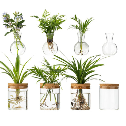 Plant Propagation Stations, 2 Style Glass Planter Terrariums, Propagation Vases for Plant, Plant Propagation Jars for Hydroponic Planter Home Office Tabletop Decoration (8)