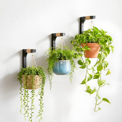 Geelin 4 Pack Black Wooden Plant Hanger for Wall Mounted Plant Hooks Outdoor Indoor Hanging 6 Inch Farmhouse Hanging Basket Hooks for Garden Home Wall Decoration, L x H x T: 6 x 5 x 0.8inch