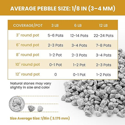 1/8 Inch Aquarium Gravel, Small Pebbles for Fish Tank & Indoor Plants, Natural Mini River Rocks for Succulent Soil Mix, Drainage, Terrarium & Vase Filler - Gray, 6 lb
