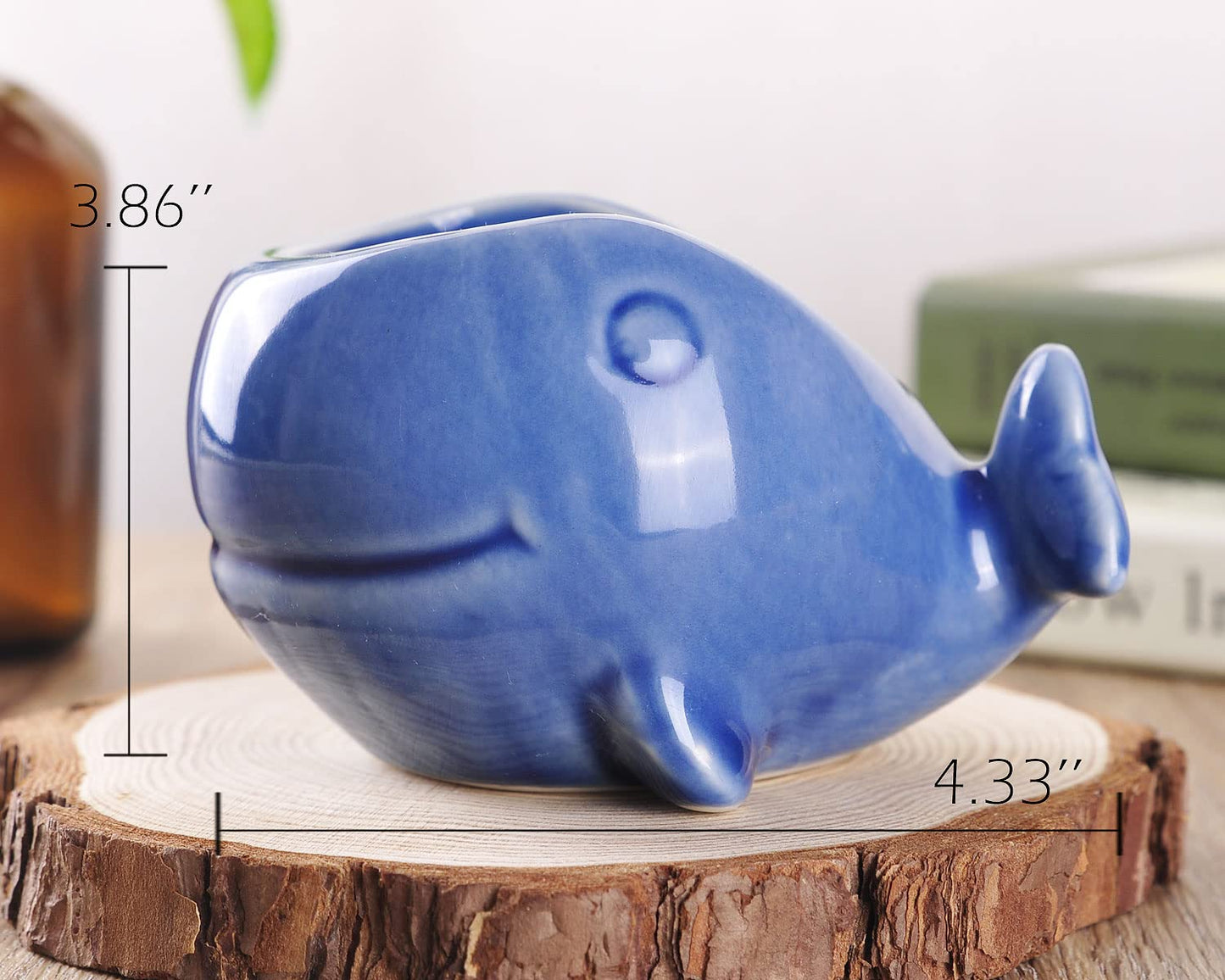 VanEnjoy 5" Ocean Blue Seashell Series Conch Shaped Cactus Planter, Flower Pot, Bonsai Pot (Dark Blue Whale)