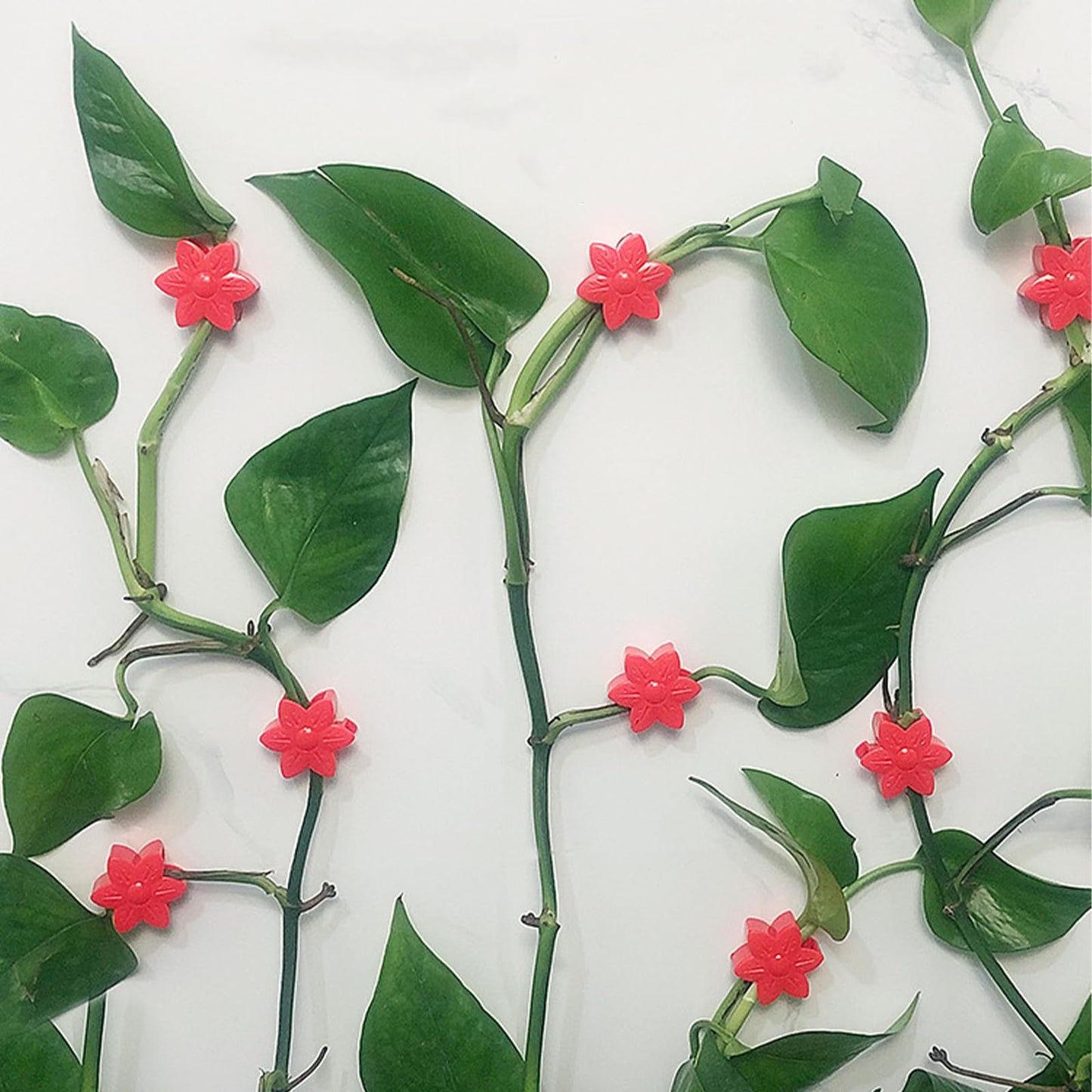 RENUIS 100 Pcs Plant Wall Clips with Acrylic Adhesive Sticker, Plant Climbing Wall Fixture Clips, Plant Support Clips, Self-Adhesive Hook Vine Plant Clips for Indoor Outdoor Decorations (Rose-Yellow)