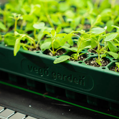 Vego garden 10" x 20" 76 Cells Seed Starter Tray Stackable Seedling Starting Germination Trays for Plants Planting Vegetables Herbs Flowers, 4 Sets