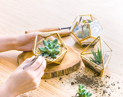 Mkono Artificial Succulent in 3 Pack Mini Glass Geometric Terrarium and Fake Hanging Plants in Farmhouse Galvanized Pots