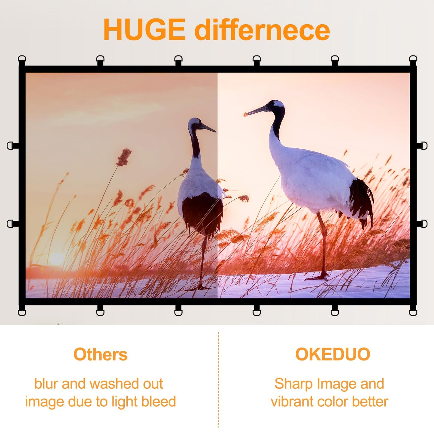 Outdoor 120in Projector Screen, Washable Black Backing Movie Screen Foldable Wtinkle-Free Projection Screen for Indoor/Outdoor Home Theater, Camping, Office, 16:9 4K HD Projector for Movies On Wall