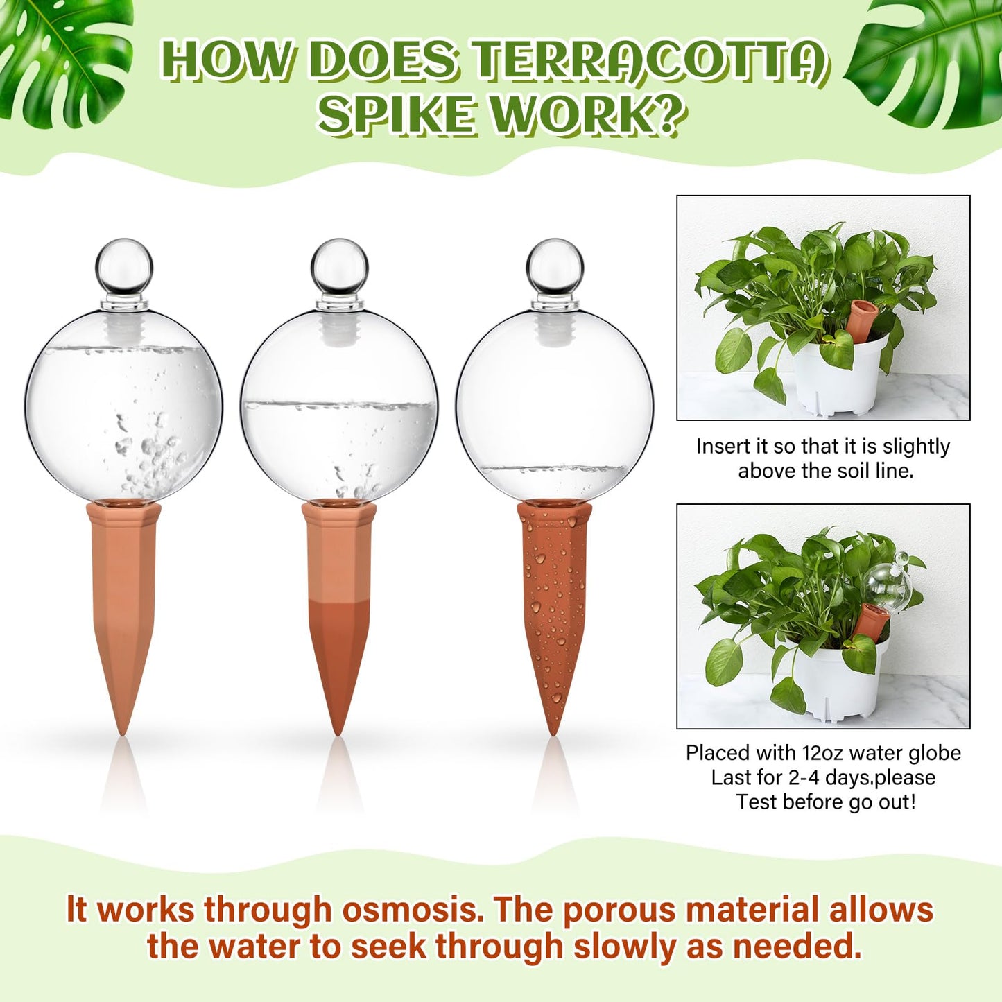 Teenyyou 3 Set Glass Self Watering Globes with Terracotta Self Watering Spike 12 oz Large Glass Waterer Bulbs Automatic Water Planter Insert Plant Water Device for Indoor Outdoor Plant(Clear,Classic)
