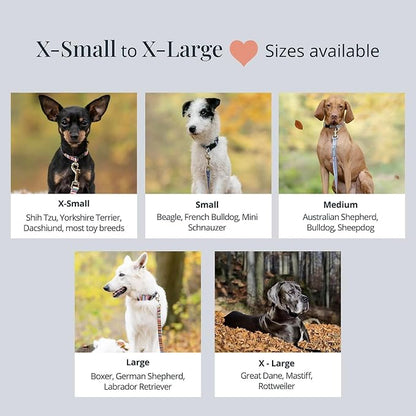 Lucky Love Dog - Easy Click Noel Dog Collar with Leash Set Combo, Durable & Comfortable for Male & Female Dogs, Pet Collar for Large Dogs, Secure Fit - Noel Combo, Large