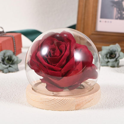 M METERXITY Cloche Glass Dome, D3.9In Ball Jar with Wooden Base for DIY Snow Globes/Small Plants/Flowers/Candles/Models/Souvenirs, Glass Display Case [Wood]