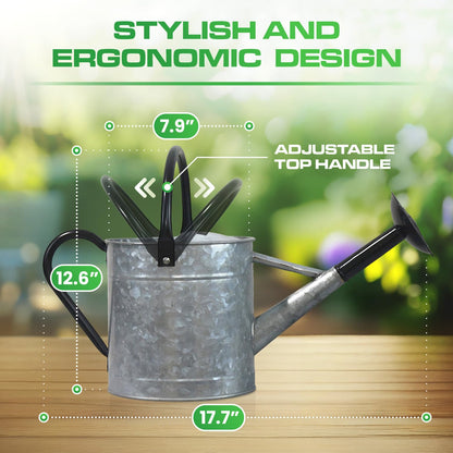 Plexon Metal Watering Can Outdoor 1 Gallon, Flower Plant Gardening Garden Large Galvanized Watering Can Pot Pitcher, Steel Black Handles and Removable Spray Spout