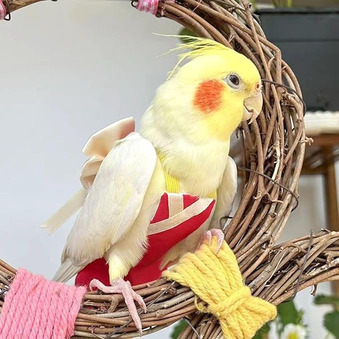 Bird Flight Suits Diapers, Parrot Flight Suits Diapers for Quaker Parakeets Cockatiels Conures Macaw African Grey, Bird Diaper, Parrot Clothes (Red B,XS)