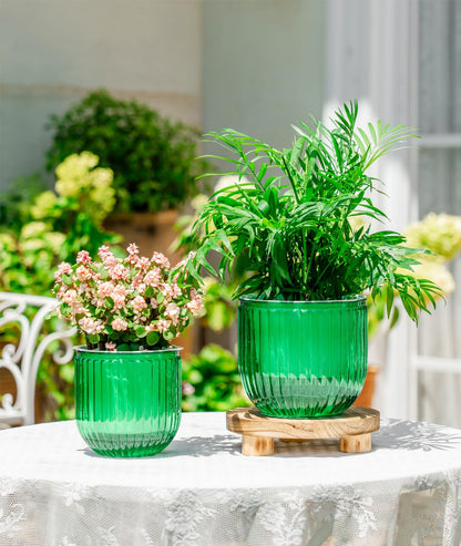 Melphoe Self Watering Pots for Indoor Plants, 6.5/5.3 Inch 2 Pack and 2Pack 7/8 inch Flower Pots