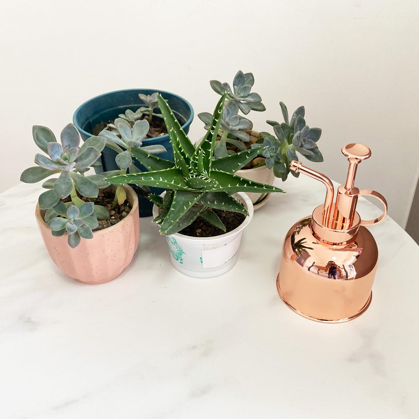 Lianshi Plant Mister Spray Bottle Stainless Steel Plant Sprayer, Small Watering can Plant Spray Bottle Modern Gardening Tools for Indoor Potted Plants Watering and Spraying