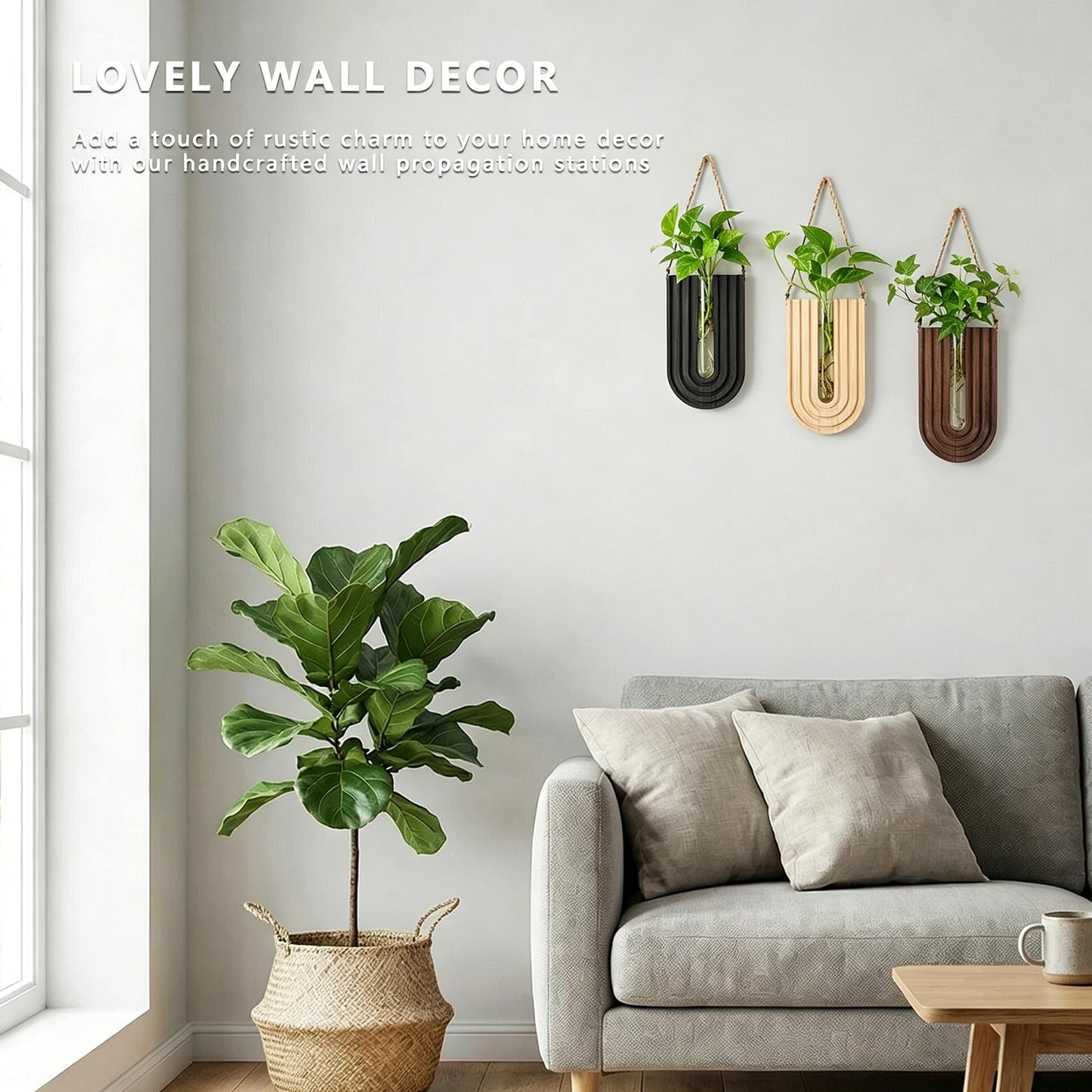 CDJZDGD Wood Wall Planter Set of 3, Propagation Station with Glass Tubes, Boho Wall Decor Hanging Vase for Dried Flowers, Farmhouse Wooden Plant Holder for Living Room Bedroom, Rainbow U-Shaped