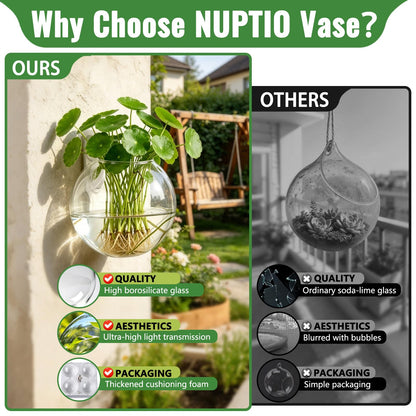 NUPTIO Wall Hanging Planter Terrarium: 4 Inch Glass Air Plant Holder 6PCS Propagation Indoor Floral Vase Flat Round Hydroponic Container Wall-Mounted Floating Pots for Bathroom Balcony Greenhouse