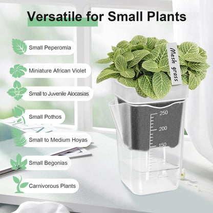 ZPAIO 10 Pack 2.5" Mini Self Watering Pots for Indoor Plants, Small Clear Plastic Planters with Drainage & Water Level, Semi Hydroponic Pots for African Violet, Propagation and Succulents