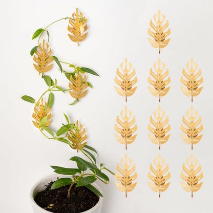 GOOOXIM 15 Pack Money Plant Clips for Wall - Indoor Pothos Plant Support Clips for Climbing Vines and Orchids, Ideal for Wall Gardening & Plant Training, Durable Leaf Shape Design