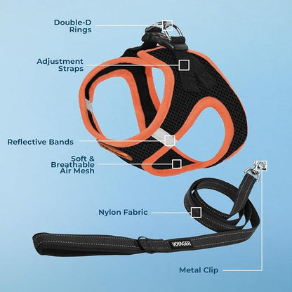 Best Pet Supplies Voyager Step-in Air All Weather Mesh Harness and Reflective Dog 5ft Leash Combo with Neoprene Handle, for Small, Medium and Large Breed Puppies - Set (Black/Orange Trim), X-Large