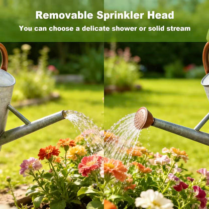 Watering Can for Outdoor&Indoor Plants，1.5 Gallon（5.7L） Metal Watering Can with with Removable Spout，Large Galvanized Steel Garden Flower Water Can Watering Pot with 2 Handles，Rustic Silver