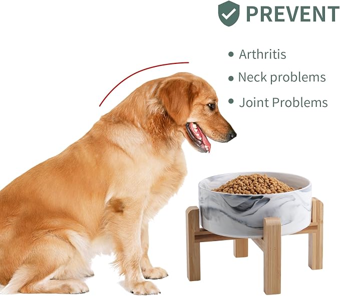 Elevated/Raised Ceramic Dog Bowl with Bamboo Stand (Marble Gary, 3.6Cup)