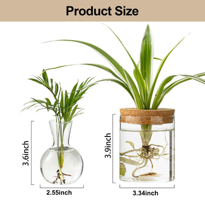 Plant Propagation Stations, 2 Style Glass Planter Terrariums, Propagation Vases for Plant, Plant Propagation Jars for Hydroponic Planter Home Office Tabletop Decoration (4)