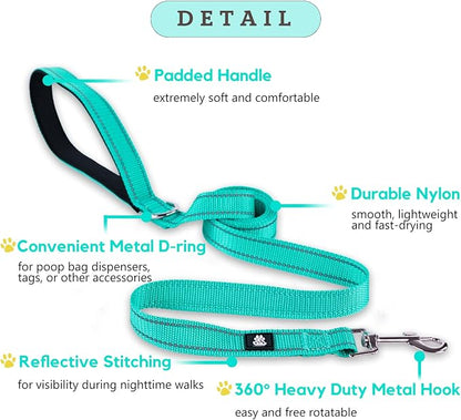 FURRYFECTION Reflective Neoprene Padded Dog Collar and Leash Set with Quick Release Buckle, Adjustable for Small Medium and Large Dogs (Small + 5FT Leash, Teal)