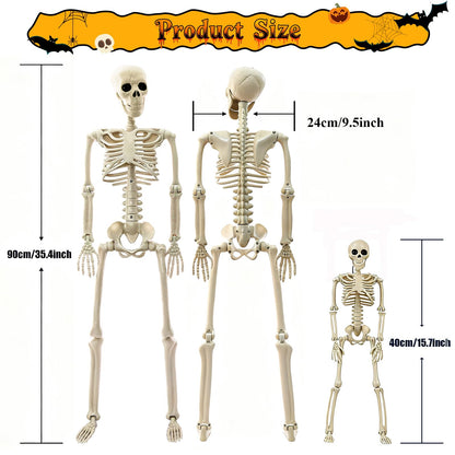 Skeleton Halloween Decorations Outdoor Indoor - 2Pcs 36" 1Pcs 16" Posable Plastic Skeleton, Movable Joints Full Body Bones,Funny Halloween Decor for Party,Porch,Haunted House,Yard, Garden,Graveyard