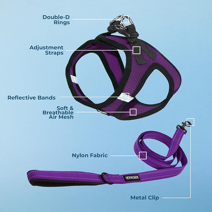 Best Pet Supplies Voyager Step-in Air All Weather Mesh Harness and Reflective Dog 5ft Leash Combo with Neoprene Handle, for Small, Medium and Large Breed Puppies - Purple/Black Trim, Large