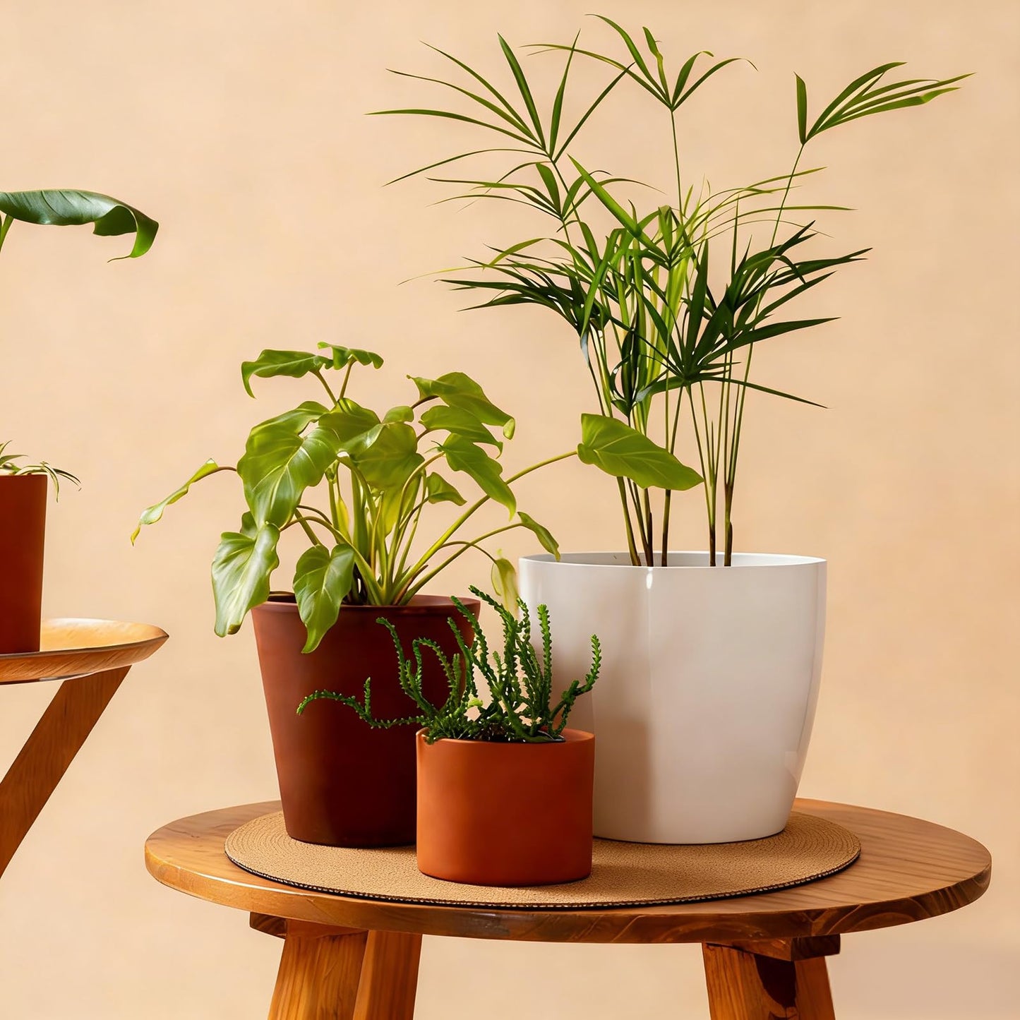 Zaruatu 2 Pcs Large Cork Plant Coasters 14 Inch Double Layers Thicken Planter Coaster Plant Pot Saucers Waterproof Non-Slip Mat for Indoor Outdoor Plants Home Floor Protection