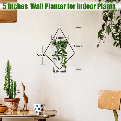 Koalaime 3 Sets Wall Planters for Indoor Plants Geometric Hanging Planters for Indoor Plants - Self-Watering Flower Pots with Black Metal Holder, Mounted Succulent Planter, 5" Black Plant Pot