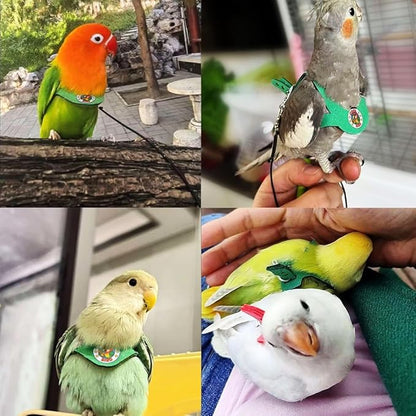 Adjustable Bird Harness & Leash Set for Small Birds,FitsBudgie,Parakeets, Conures, Cockatiels,Green Cheek,Quaker Parrots(Green, 2XL) Z6350-14