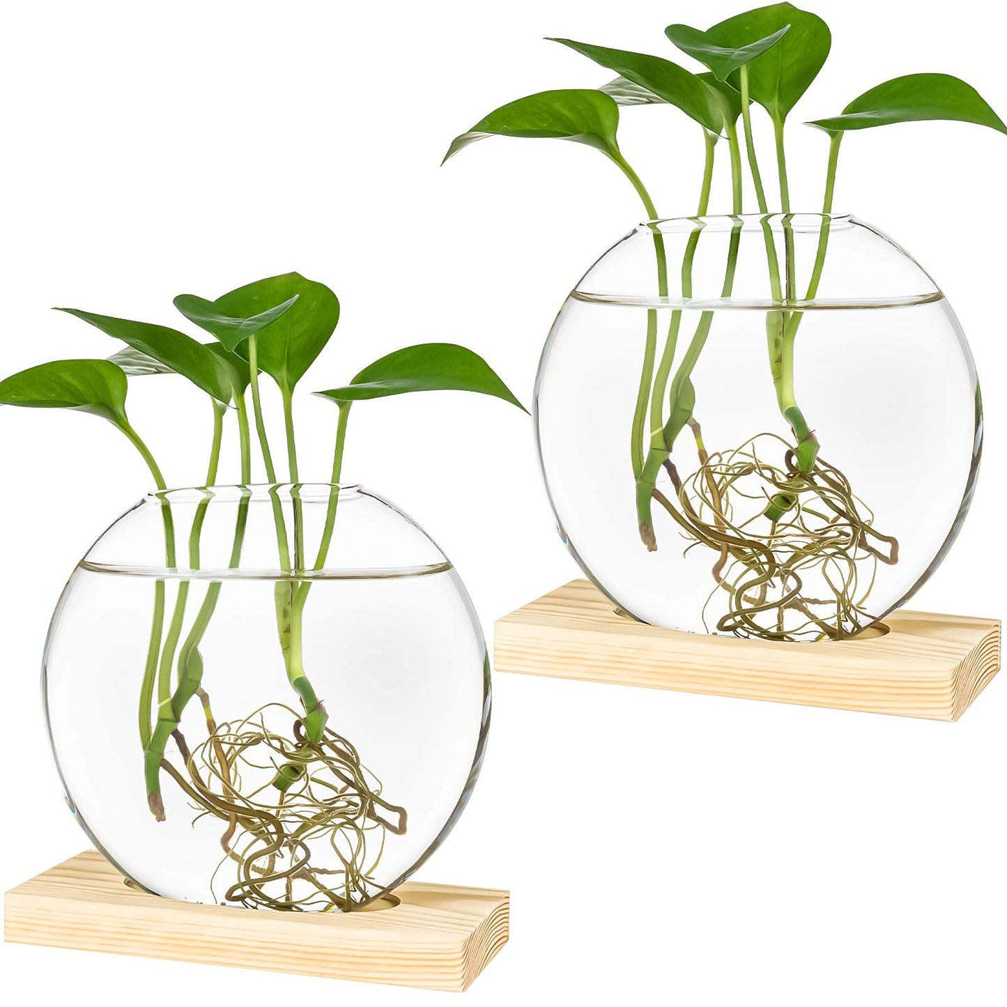 Kingbuy Round Glass Desktop Planter with Wooden Stand - Propagation Vase for Hydroponic Plants, Spider Plants, Pothos in Home Office Decor, 2-Pack, Beige