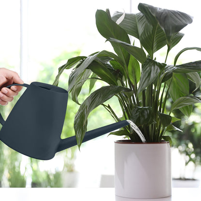TTAOE GN Watering Can - for Indoor and Outdoor House Plant Garden - with Long Spout - 1/2 Gallon - Grey