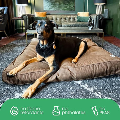 Molly Mutt Woodstock Dog Bed Duvet Cover, GOTS-Certified 100% Organic Cotton Canvas Cover for Dog, Puppy, or Cat Bed, Durable, Washable, and Free of Harmful Chemicals, Medium/Large, 27"x36"x5"