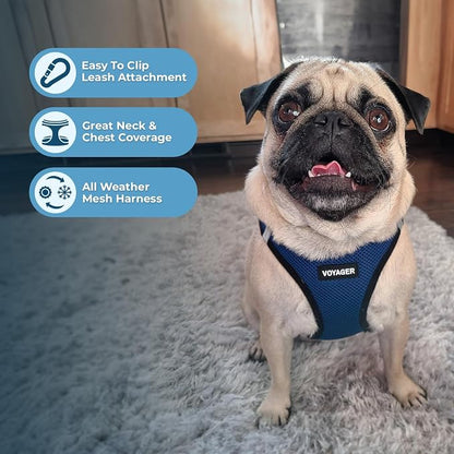 Best Pet Supplies Voyager Step-in Air All Weather Mesh Harness and Reflective Dog 5ft Leash Combo with Neoprene Handle, for Small, Medium and Large Breed Puppies - Blue/Black Trim, XX-Small
