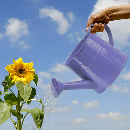 Galvanized Watering Can 1L,Tinplate Watering Kettle with Removable Spout,Garden Decorations,Gardening Tools for Outdoor Indoor Plants Lawn Garden (Purple)