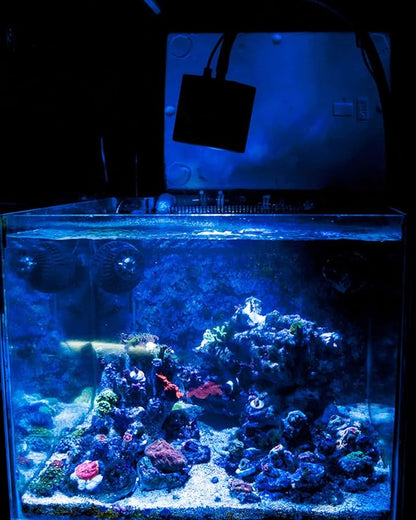 Lominie Aquarium LED Light, Reef Coral Light Saltwater Aquarium Light Full Spectrum with Remote Control Gooseneck for 10 Gallon Fish Tank