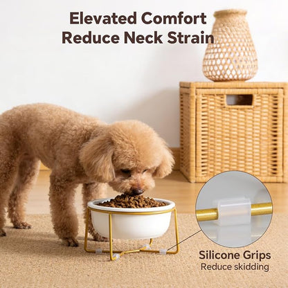 Elevated Ceramic Dog Bowl with Metal Stand - Raised Feeding Dish for Small Dogs and Cats - Ideal for Food or Water - Each Holds 400ml / 2 Cups (Approx. 200g) - White