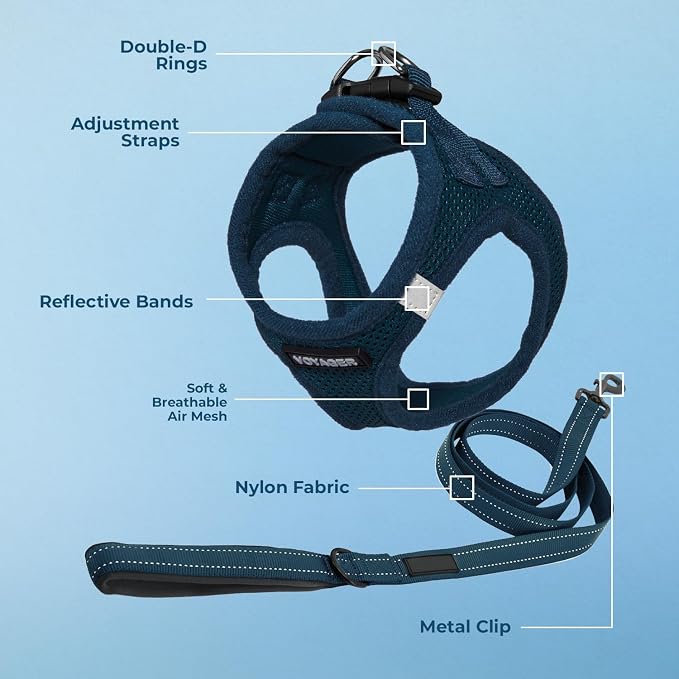 Best Pet Supplies Voyager Step-in Air All Weather Mesh Harness and Reflective Dog 5ft Leash Combo with Neoprene Handle, for Small, Medium and Large Breed Puppies - Blue, Large
