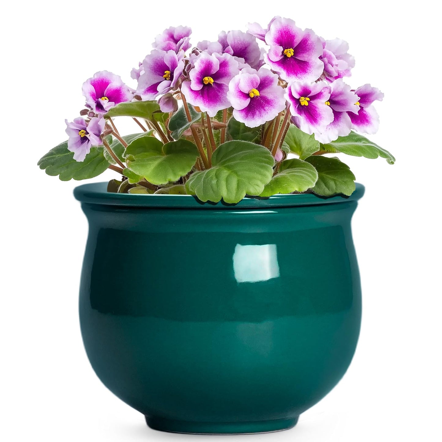 Teagas 6 Inch Self Watering Plant Pots, Ceramic African Violet Pot with Absorbent Inner Pot, Easy Self Watering Pots for Indoor Plants, Ceramic Planter, Room Decor, Plant Lover Gifts, Blackish Green