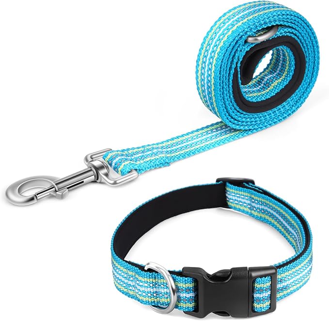 Reflective Dog Collar and Leash Set, Nylon Dog Leash with Heavy-Duty Steel D-Ring, Adjustable with Quick Release Buckle for Medium Dogs,Cyan M