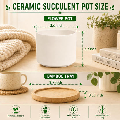 ZOUTOG Ceramic Succulent Pots,3.6 Inch Plant Pots,Succulent Planters with Drainage Hole & Bamboo Tray for Indoor Plants,White Small Flower Planters for Home,Office,Desk(6 Pack)