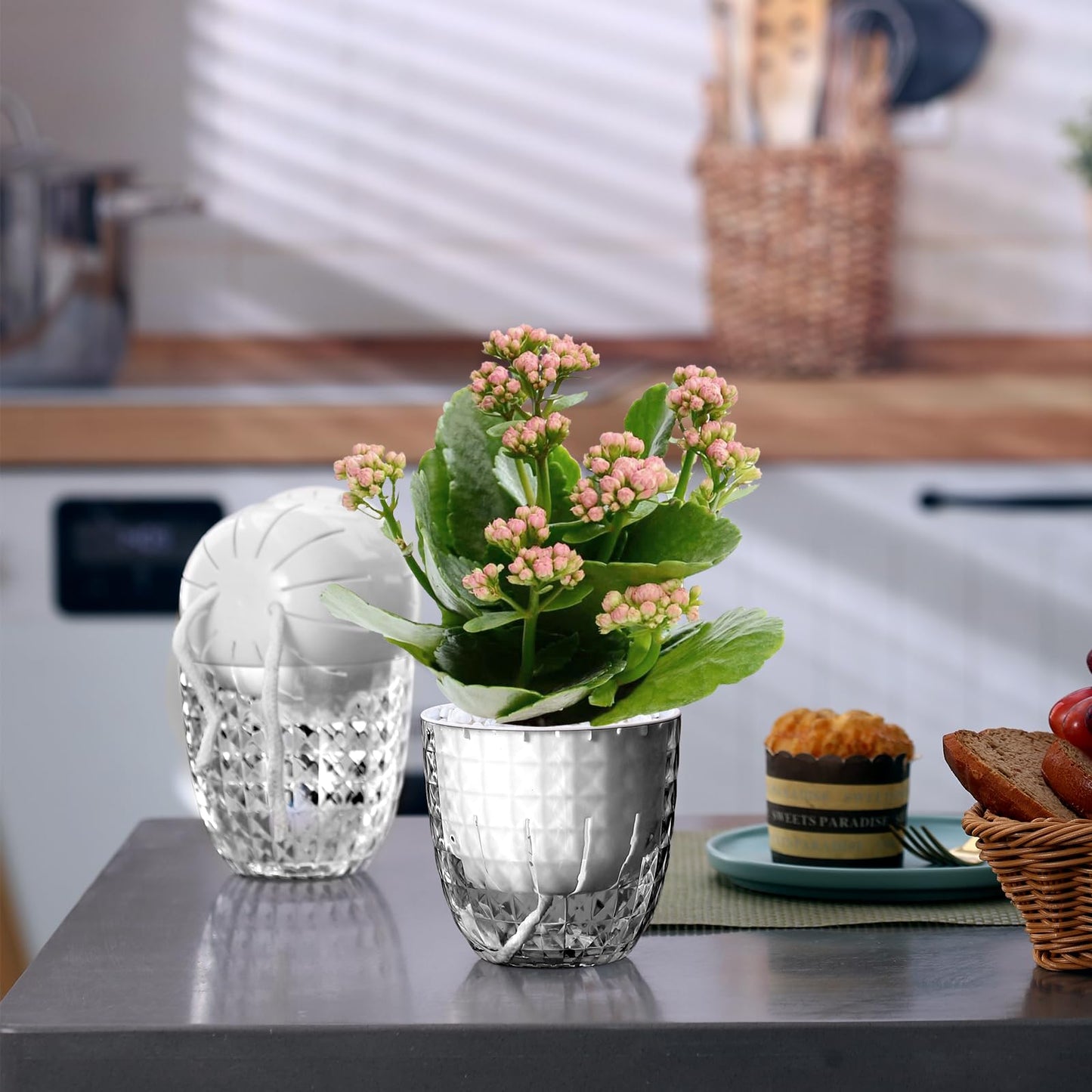 Etvski Self Watering Pots for Indoor Plants, Flower Pots, Self Watering Plant Pot-6pcs 4inch Clear