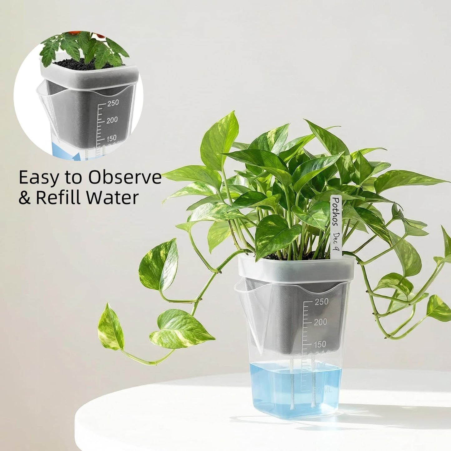 Addcean Self Watering Pots for Indoor Plants, 12pcs 2.5" Clear Plastic Planters Flower Pots for Cuttings, Seedlings, African Violets, Herbs, Mini Flowerpot with Measuring Cup & 12 Plant Labels