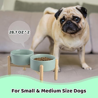 SPUNKYJUNKY Ceramics Raised Dog Bowls with Wooden Stand - Elevated Bowls for Small Medium Dogs (Double 28.7OZ, Light Green)